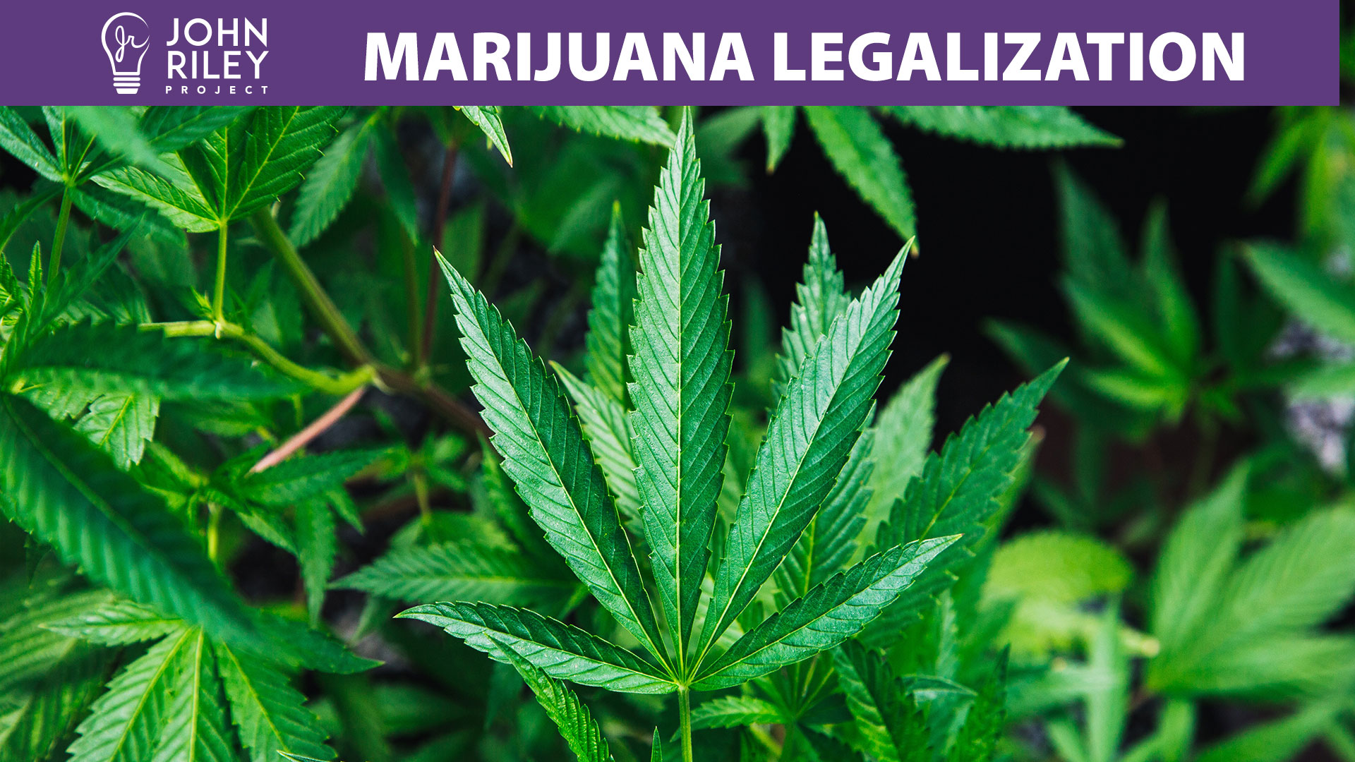 marijuana legalization, property rights, john riley project, JRP0192