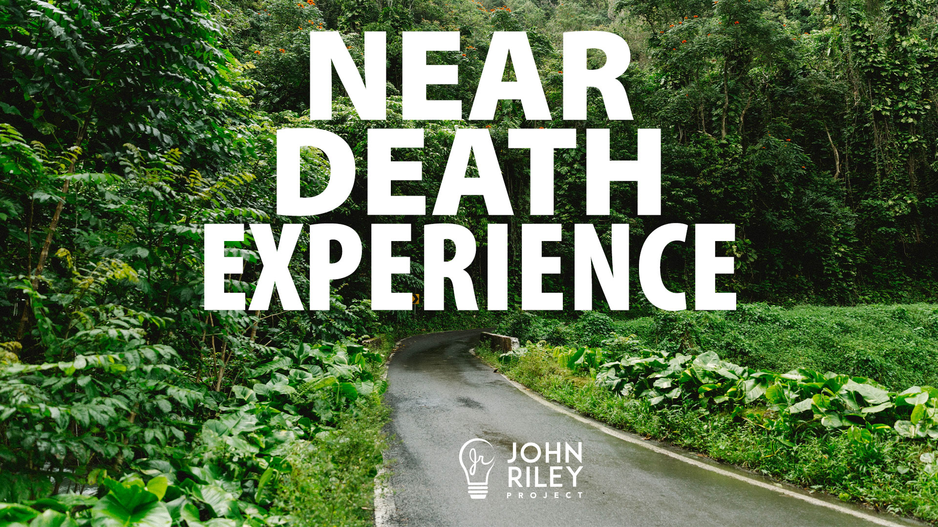 near death experience, ndi, coma dreams, mike smith, john riley project, jrp0237